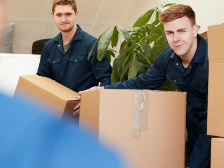 „Box Moving“ – Problem oder Chance?