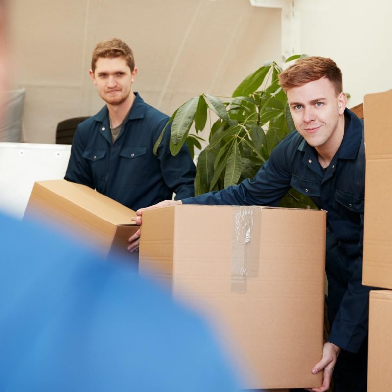 „Box Moving“ – Problem oder Chance?